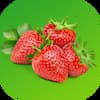 strawberry2024